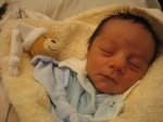 IMG_1577.jpg