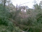 Imagen014.jpg