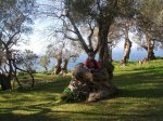 DSCN6960.jpg