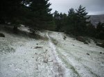 DSCN2742 (Medium).JPG