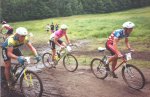 Tomac%203_web.jpg