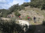 IMG_3380mini.jpg
