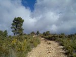 Imagen078.jpg