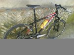 DSC00100.jpg