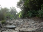 DSCN3112.jpg