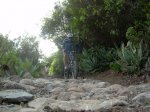 DSCN3116.jpg
