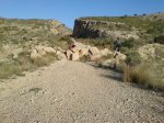 DSC00196.JPG