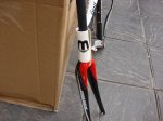 moser5.JPG