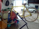 bici amarillo.jpg