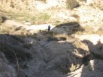 Imagen 004.jpg