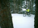 DSC_1106.jpg