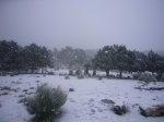 Foto8.JPG
