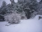 Foto15.JPG