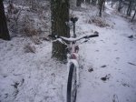 Foto20.JPG