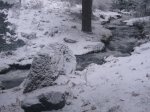 Foto22.JPG