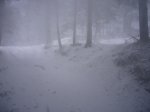 Foto23.JPG