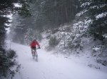 Foto31.JPG