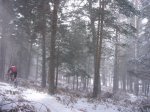Foto33.JPG