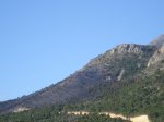 DSC02039.jpg