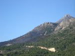DSC02040.jpg