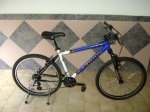 DSC00645.jpg