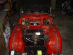 DSC04098 (Large).JPG
