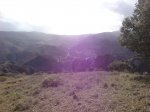DSC00007.jpg