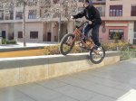 P1100360.jpg