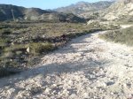 DSC00205.JPG