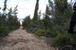 El Rebollar 054.jpg