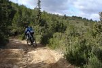El Rebollar 059.jpg