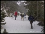25012009361.jpg