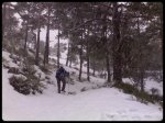 25012009365.jpg