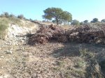 DSC00213.JPG