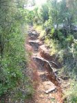 IMG_0089.JPG
