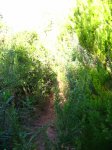 IMG_0093.JPG