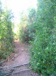 IMG_0094.JPG
