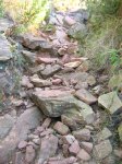 IMG_0095.JPG