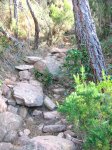 IMG_0097.JPG