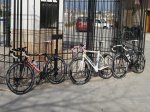 Cervelos 008.JPG