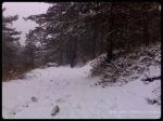 25012009395.jpg