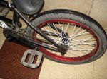 DSC02639.jpg