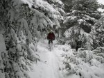 2009_01_25_PicoAguila 037.jpg