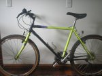 bianchi 016.jpg
