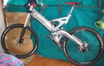 img54172rv8wm2.jpg