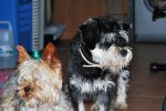 popi y gaspar.JPG