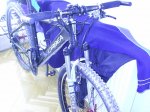 PIC_0544.jpg