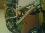 DSC00505.jpg