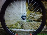 DSC00536.jpg