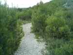 IMAG0277.jpg